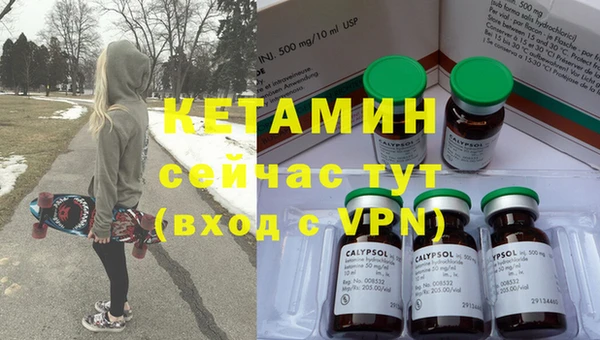 сатива Бородино