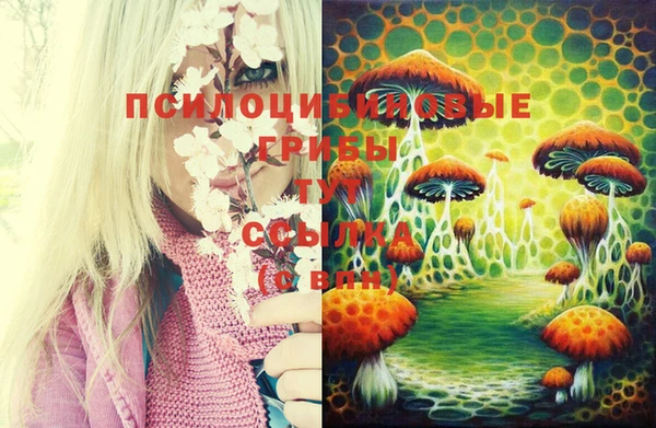 МДМА Верхний Тагил