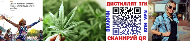 сколько стоит  Владивосток  ТГК гашишное масло 