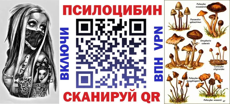 Галлюциногенные грибы Psilocybe  МЕГА зеркало  Владивосток  как найти наркотики 