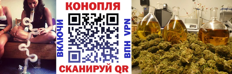 нарко площадка наркотические препараты  Владивосток  Бошки Шишки Ganja  сколько стоит 